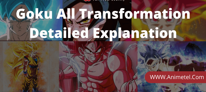 Goku All Transformation Detailed Explanation