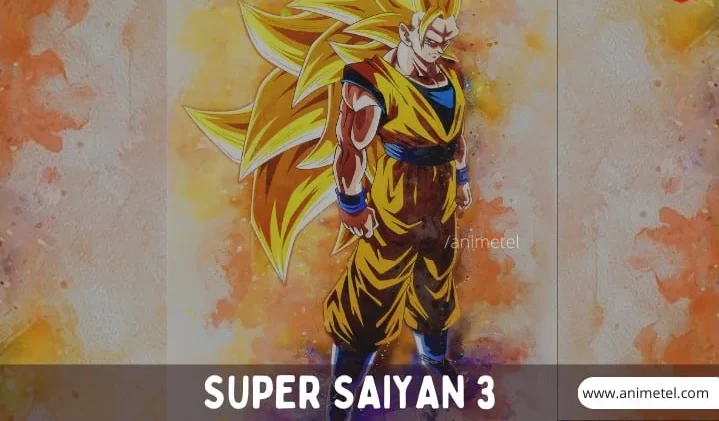 Super Saiyan 3 Goku All Transformation Detailed Explanation