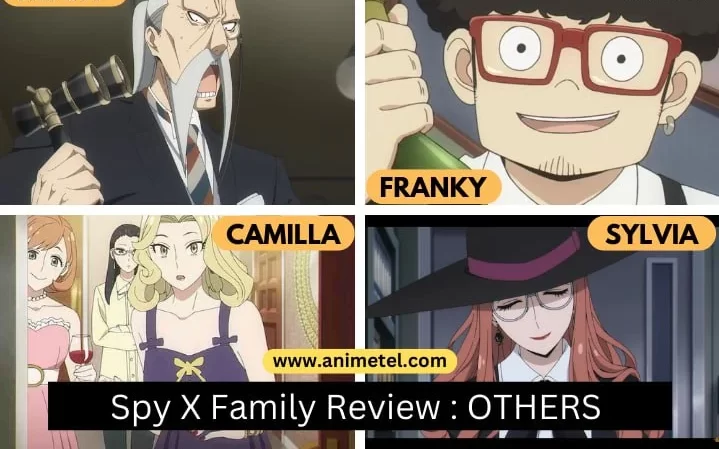 Everything About Spy X Family: Detailed Review 2022