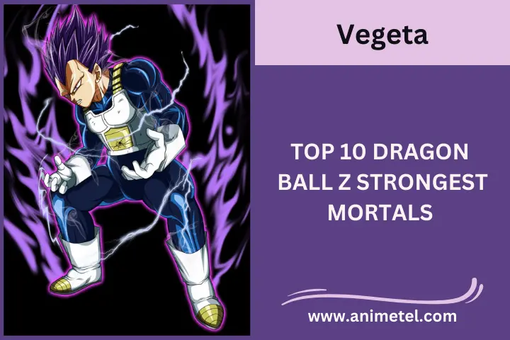 Vageta, Top 10 Dragon Ball Z Strongest Mortals