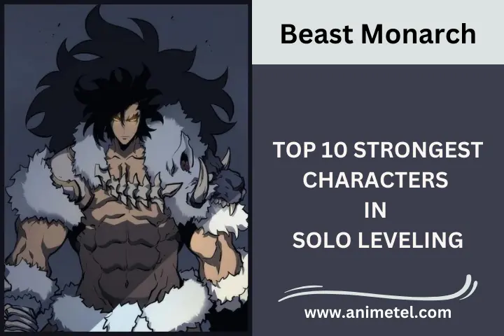 Top 10 Strongest Characters in Solo Leveling