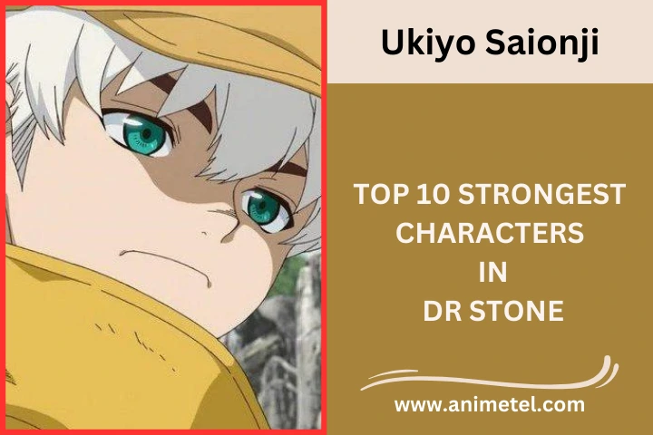 Ukiyo Saionji Dr, Stone