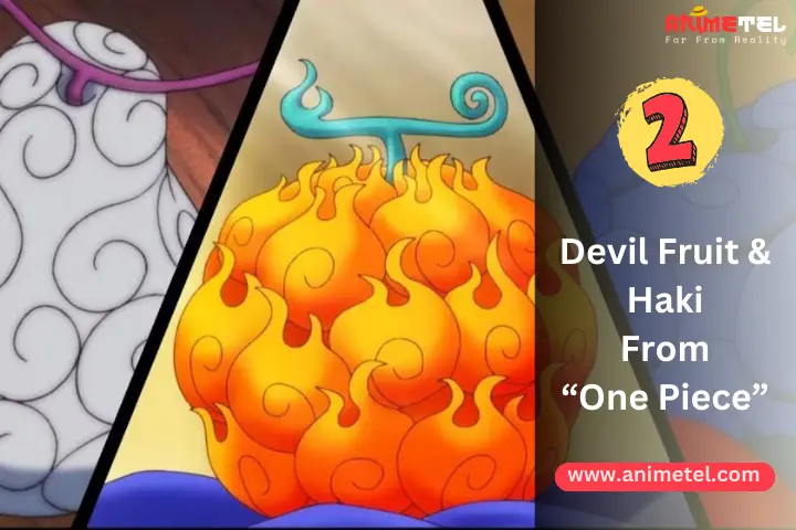 One Piece - Devil Fruit & Haki